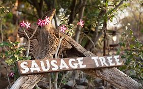 Sausage Tree Safari Camp