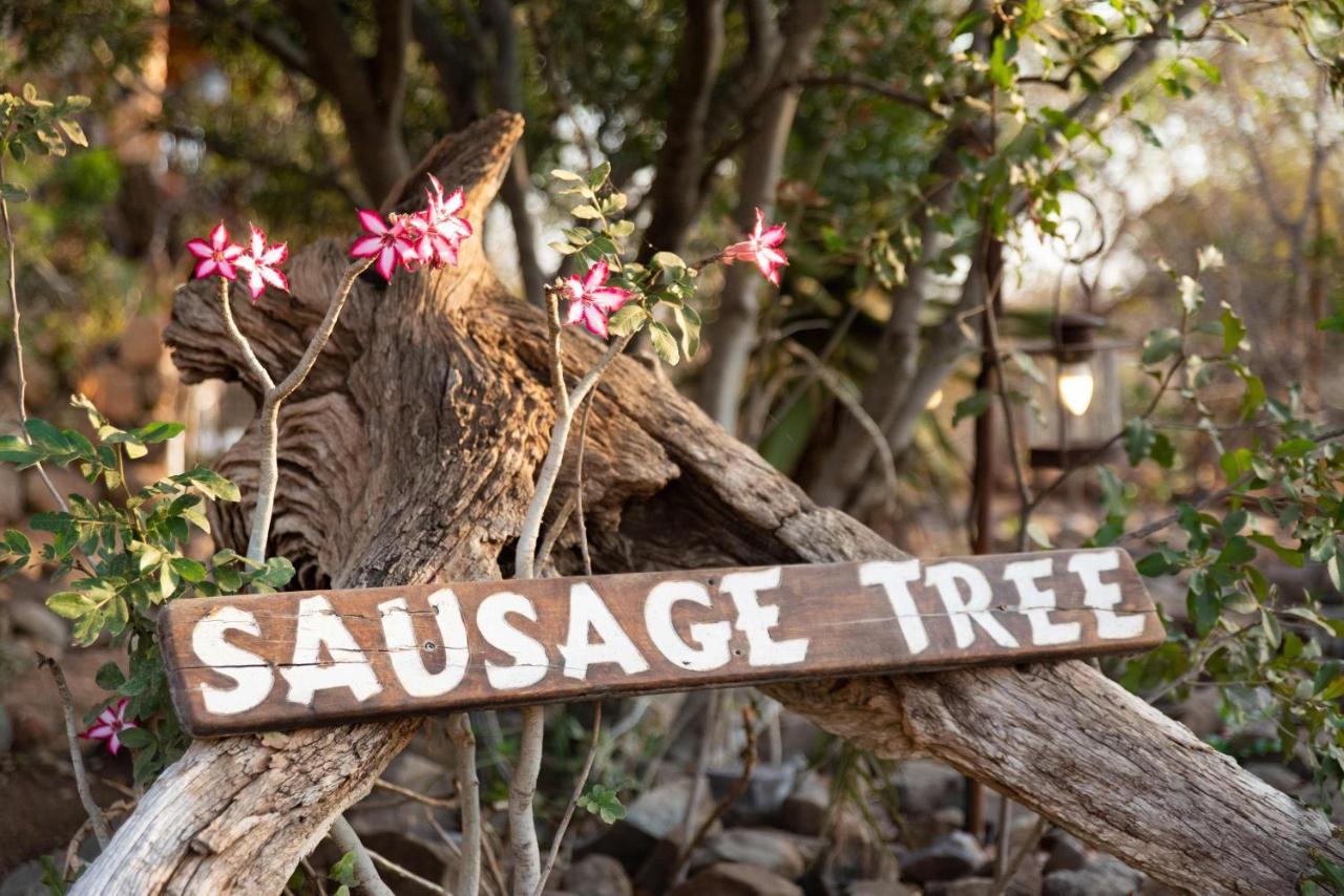 Sausage Tree Safari Camp Réserve de Balule Extérieur photo