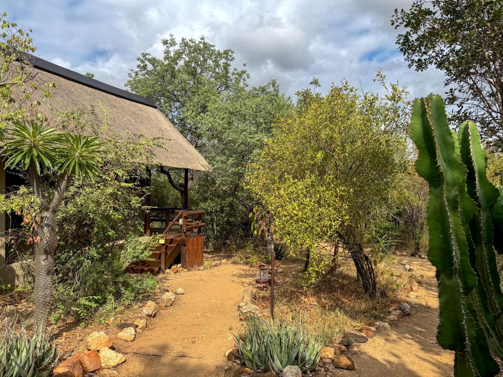 Sausage Tree Safari Camp Réserve de Balule Extérieur photo