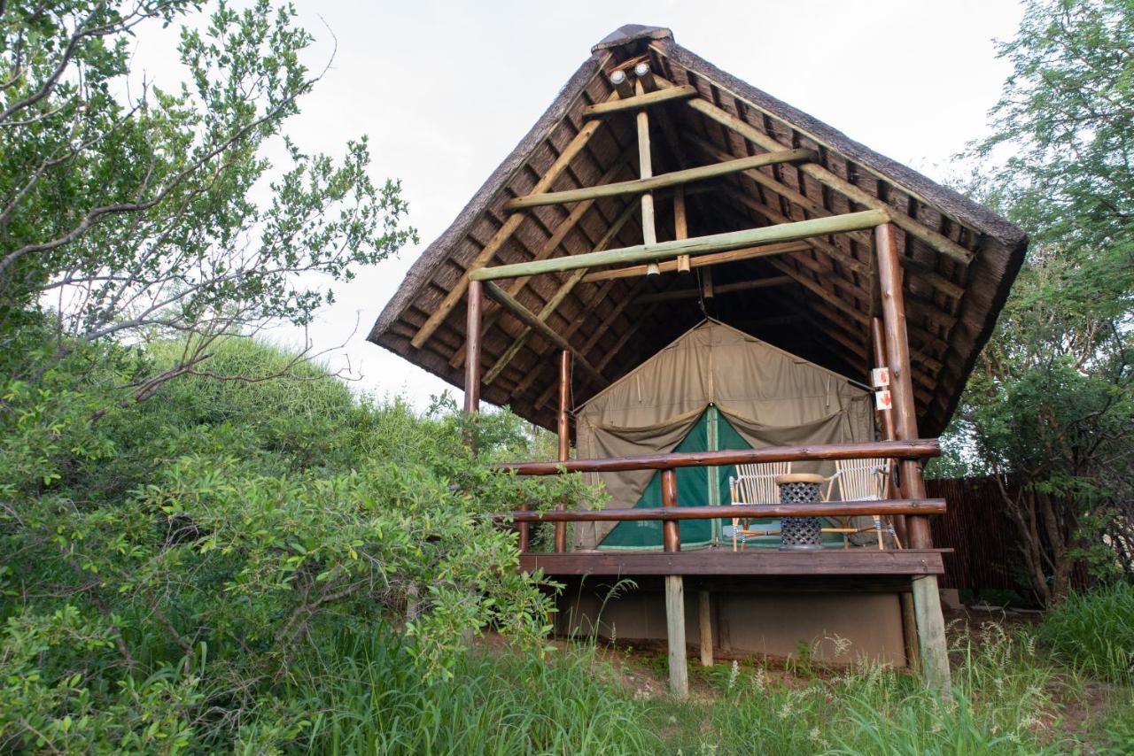 Sausage Tree Safari Camp Réserve de Balule Extérieur photo